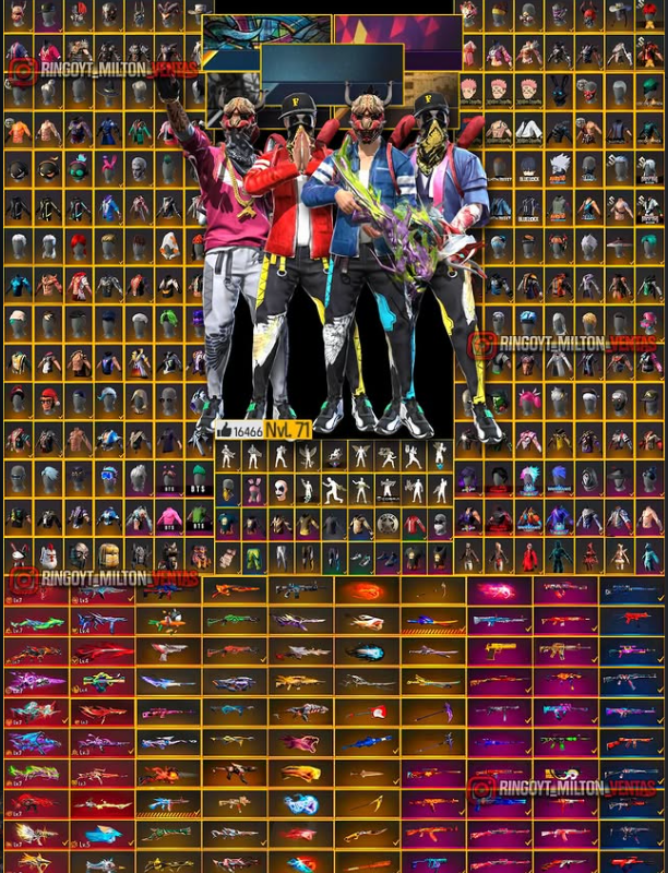 Cuenta Veterana Nivel 71 – Armas Evo y Ropa Exclusiva